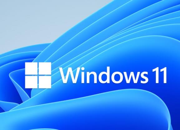 Windows 11 上仍能使用软驱和软盘